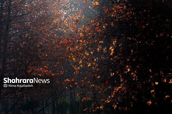 پیش‌بینی هواشناسی مشهد و خراسان رضوی امروز (پنجشنبه، ۲۲ آبان ۱۴۰۴) | تا اواسط هفته آینده، خبری از باران در مشهد نیست