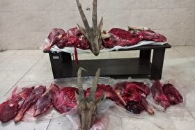 کشف ۲ لاشه بزکوهی در میامی استان سمنان (۲۴ آبان ۱۴۰۴) | شکارچیان دستگیر شدند