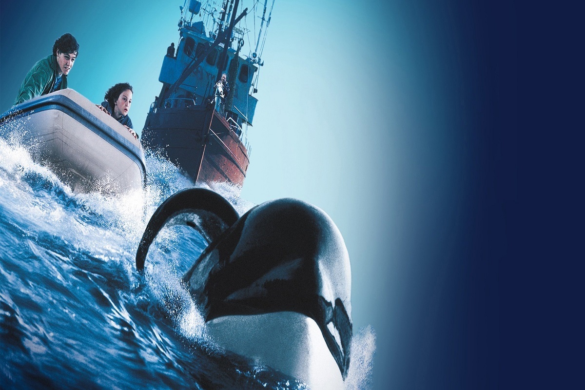 شبکه نمایش سیما در ادامه طرح پخش فیلم‌های دنباله‌دار سینمای جهان، سه قسمت از فیلم دنباله‌دار «نهنگ آزاد» و دو قسمت از فیلم دنباله‌دار «برادران داسلر» را پخش می‌کند.