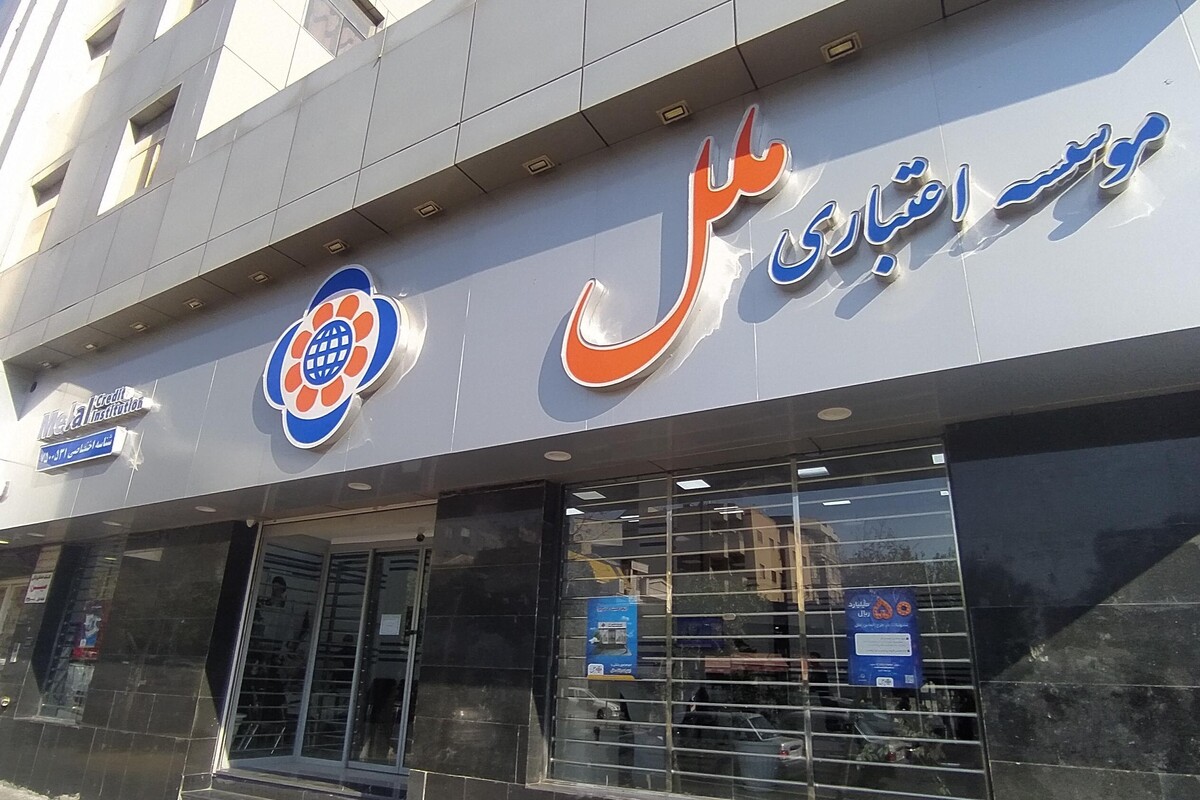 ظهوریان: موسسه ملل به‌صورت خانوادگی و غیرشفاف اداره می‌شد | سلب صلاحیت هیئت‌مدیره نخستین گام مقابله با بانک‌های ناسالم است