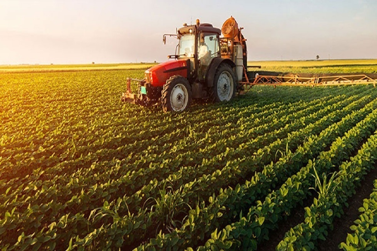 رشد ۵۵ درصدی کشت‌های پاییزه خراسان رضوی با تأمین نهاد‌ه‌های کشاورزی