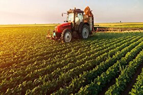 رشد ۵۵ درصدی کشت‌های پاییزه خراسان رضوی با تأمین نهاد‌ه‌های کشاورزی