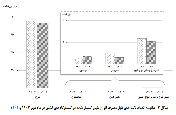 عرضه گوشت مرغ در مهر ۱۴۰۴ به کمترین میزان طی ۱۰ ماه اخیر رسید عرضه گوشت مرغ در مهر ۱۴۰۴ به کمترین میزان طی ۱۰ ماه اخیر رسید
