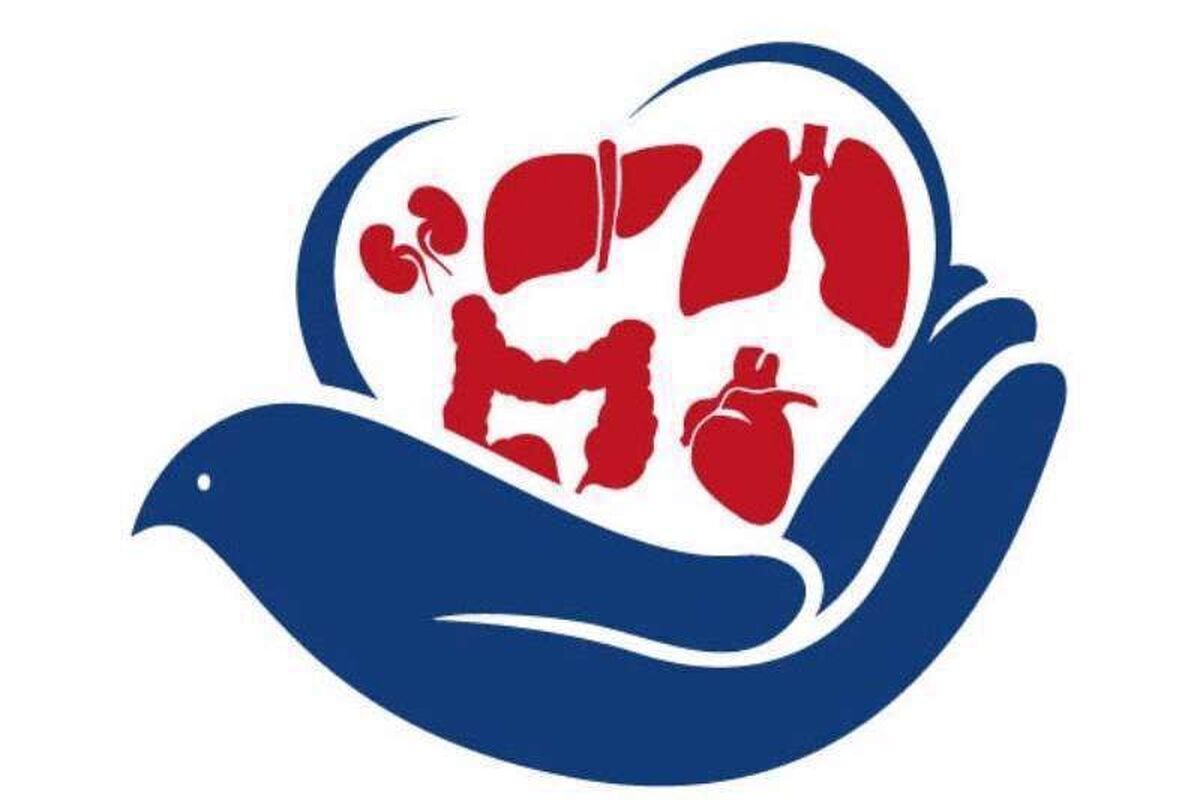 توصیه های متخصص عفونی به بیماران پیوند عضو