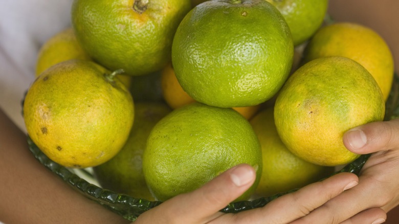 چطور پرتقالها رنگ میشوند؟ تزریق صنعتی یا واکس؟ | نکات کاربردی درباره انتخاب پرتقال سالم راز سبز ماندن برخی پرتقالها