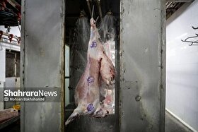 افزایش ۳۴ درصدی عرضه گوشت قرمز به کشتارگاه‌ها | زنگ خطر برای کشتار دام مولد (۲۸ آبان ۱۴۰۴)