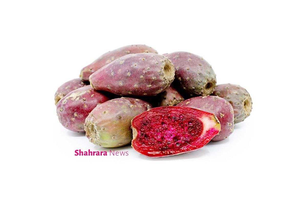 دانستنیهای کودکانه درباره خوراکیها | دو میوه خوشمزه از شمال و جنوب دانستنیهای کودکانه درباره خوراکیها | دو میوه خوشمزه از شمال و جنوب