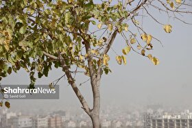 آلودگی هوا در وضعیت نگران‌کننده | هشدار برای مشهد و ۶ کلان‌شهر دیگر کشور (۲۸ آبان ۱۴۰۴)
