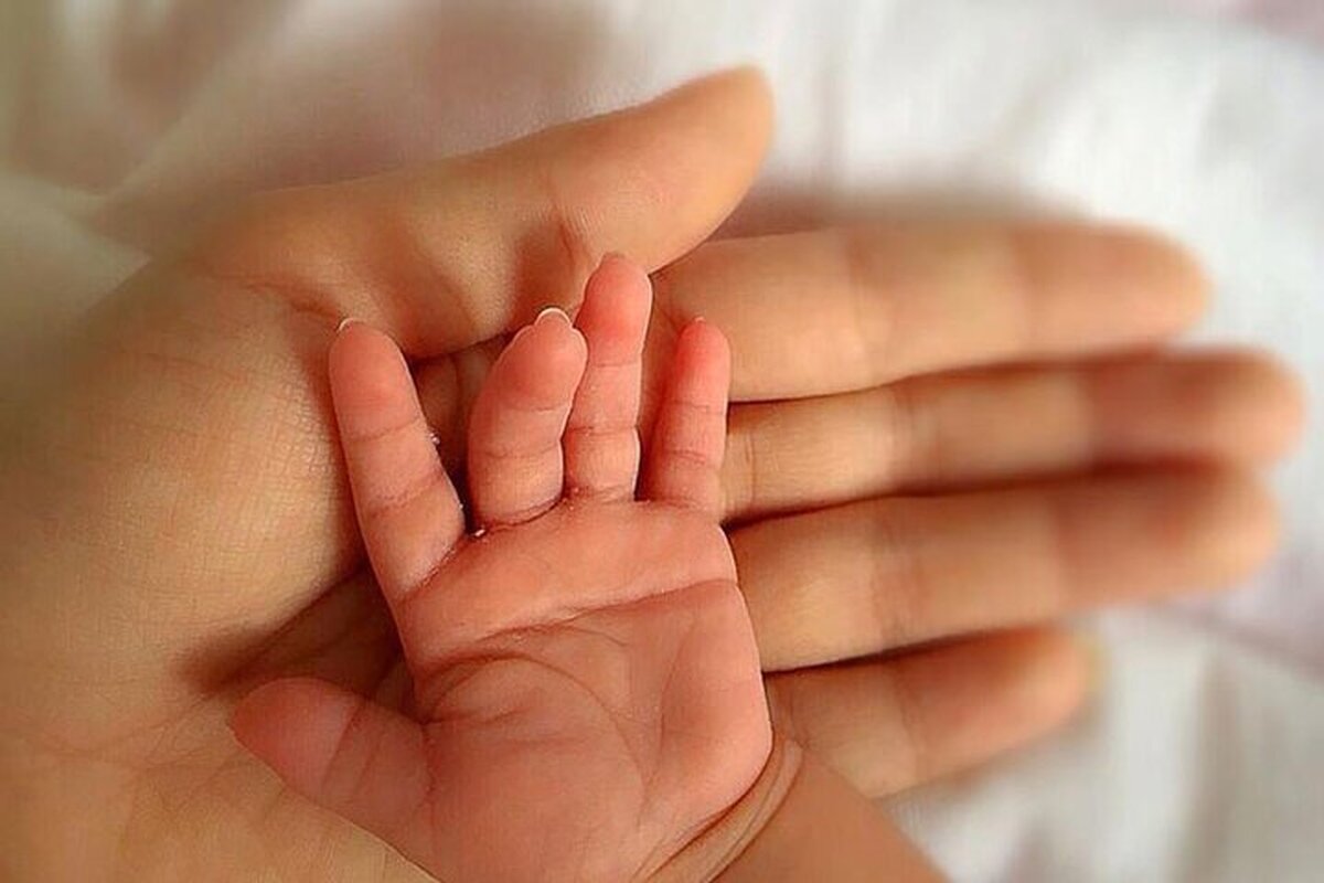 کاهش تعداد اعضای خانوار طی ۳ دهه در کشور