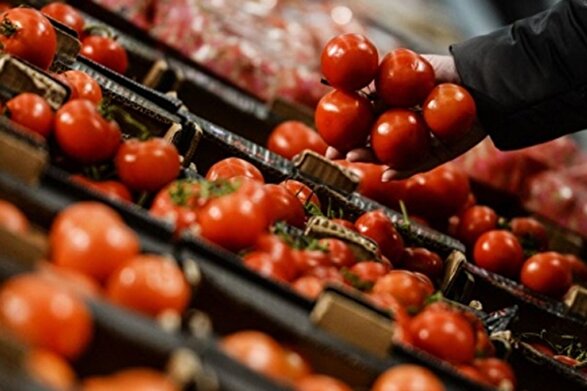 افزایش قیمت گوجه‌فرنگی موقتی است (۲۸ آبان ۱۴۰۴)