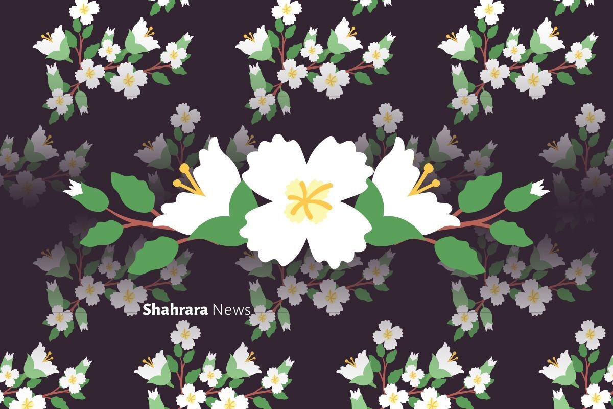 یادداشت کودک | چرا همه حضرت زهرا‌(س) را دوست دارند؟