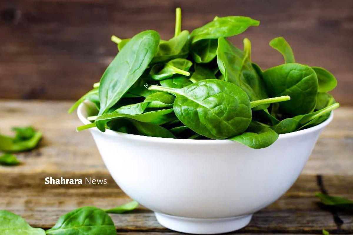 دانستنی‌هایی برای کودکان | «اسفناج» و «ماست»