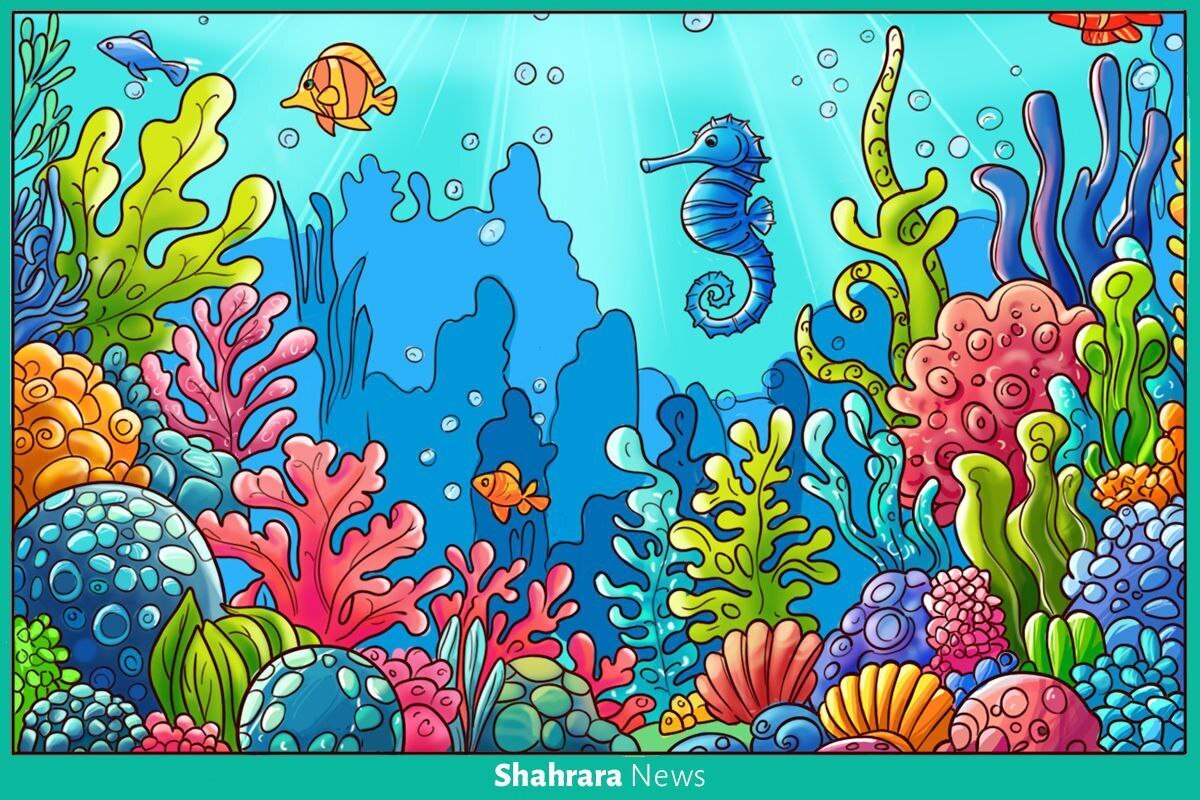 سرگرمی با بگرد و پیدا کن | دریا منظره‌های زیبایی دارد