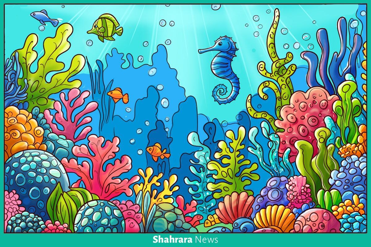 سرگرمی با بگرد و پیدا کن | دریا منظره‌های زیبایی دارد