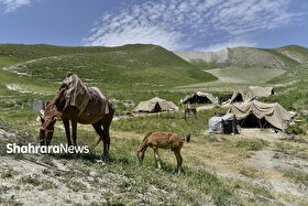 اختصاص و توزیع ۶۴۵ میلیارد ریال تسهیلات کم‌بهره برای عشایر خراسان رضوی