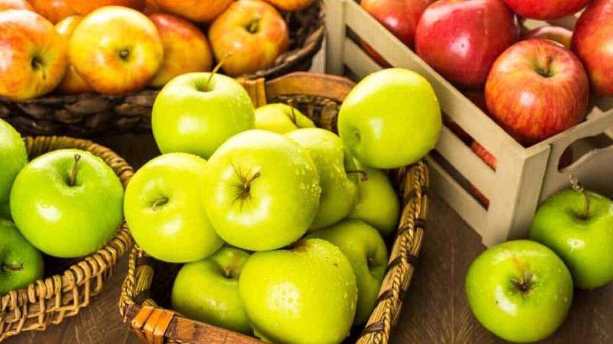 خراسان رضوی در صدر تولیدات باغی، زراعی و دامی کشور