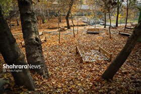 ویدئو | طبیعت پاییزی روستای ابرده شاندیز در خراسان رضوی