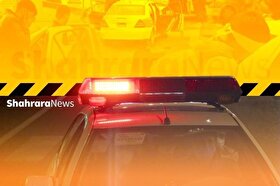 فرمانده انتظامی مشهد خبر داد: کاهش ۳۰ درصدی جرایم در هشت‌ماهه نخست سال + فیلم