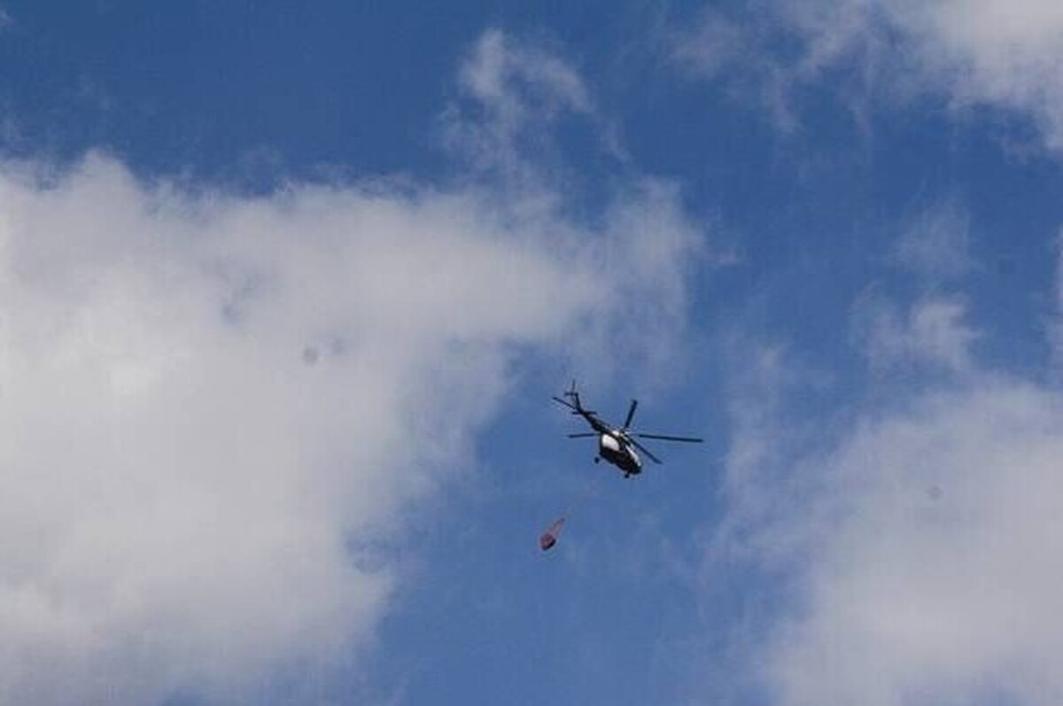 آخرین وضعیت حریق در جنگل‌های چالوس