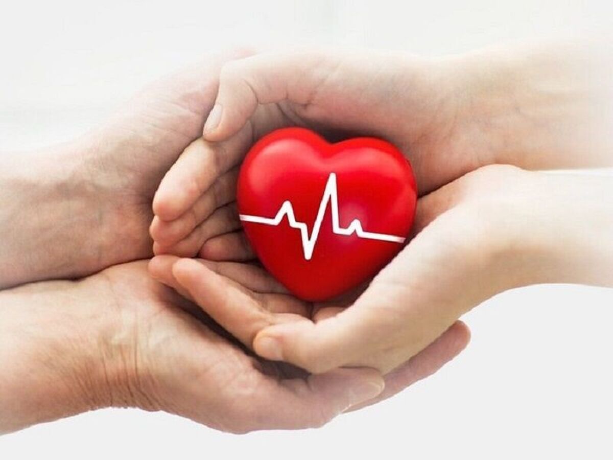 اهدای اعضای جوان مرگ مغزی در مشهد به ۵ بیمار زندگی دوباره بخشید (۴ آبان ۱۴۰۴)