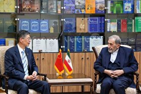 ولایتی و سفیر چین در ایران، با یکدیگر دیدار و گفت‌وگو کردند