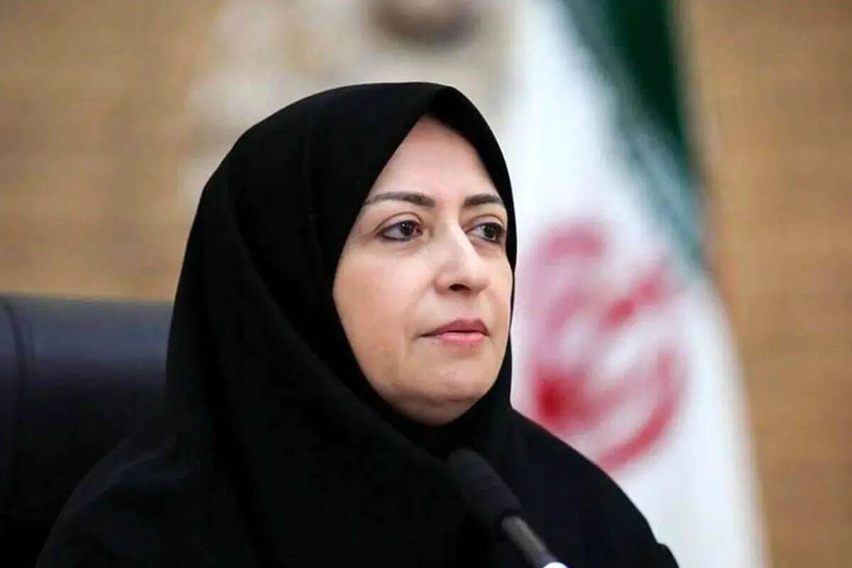 شینا انصاری: هیچ ملتی از خطر بحرانهای زیستمحیطی مصون نیست