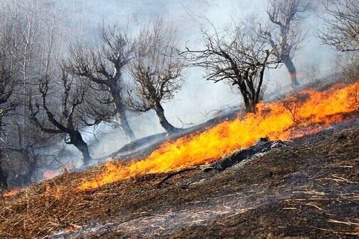 آتشسوزی روز گذشته (دوشنبه، ۵ آبان ۱۴۰۴) در جنگلهای ارس خراسان رضوی، ناشی از یک بیاحتیاطی انسانی و روشن کردن آتش برای تهیه چای بوده است.