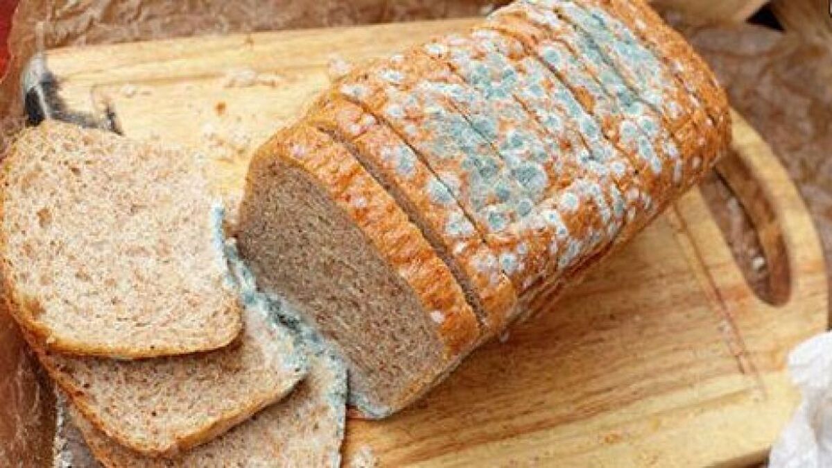 قویترین سموم بیماریزا در مواد غذایی فاسد و کپکزده هستند