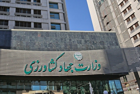 قوای سه‌گانه در پی کشف آشفتگی‌ بازار کالاهای اساسی