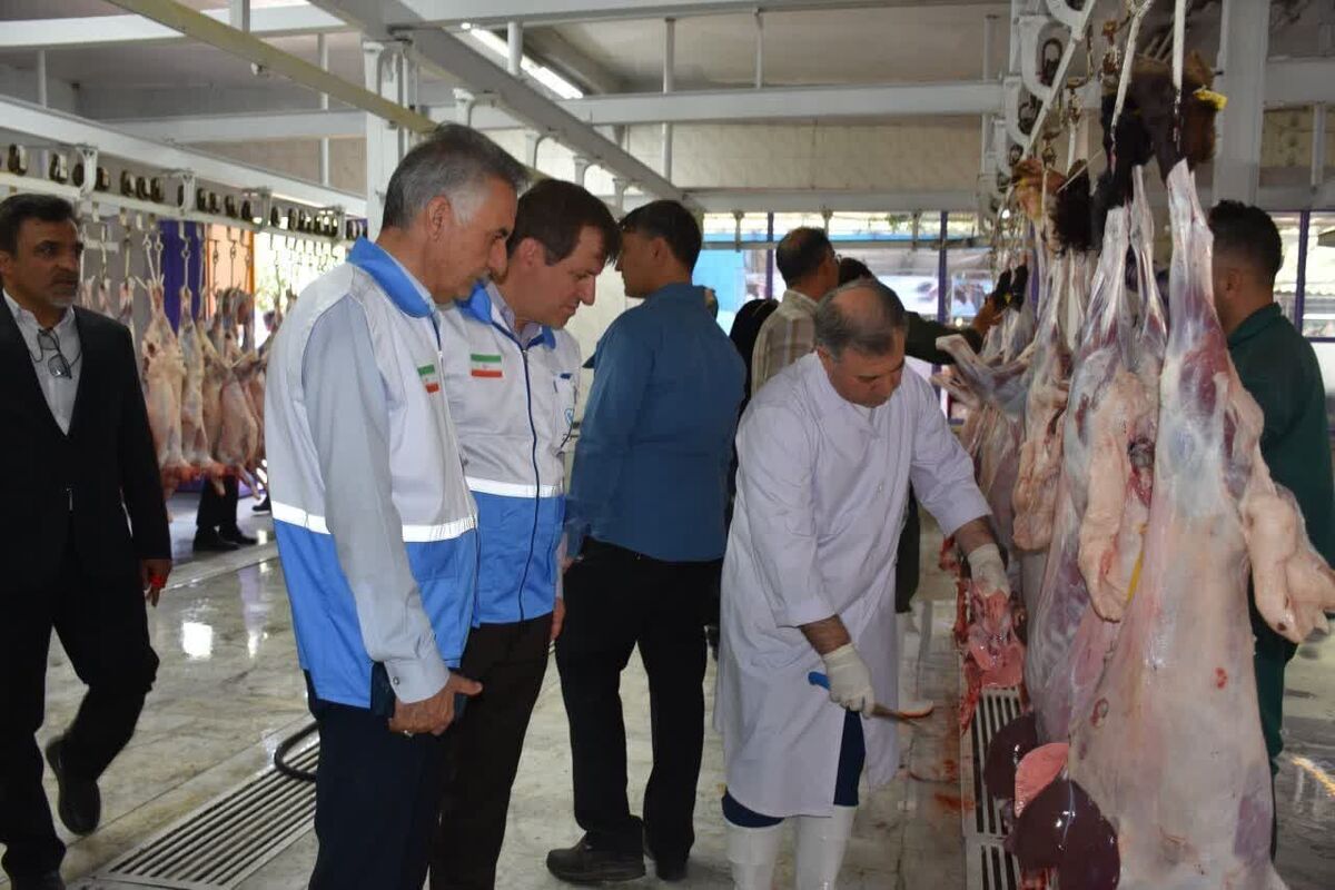 ۸۳۰ تن انواع فرآورده خام دامی غیربهداشتی در خراسان رضوی توقیف شد (۷ آبان ۱۴۰۴)