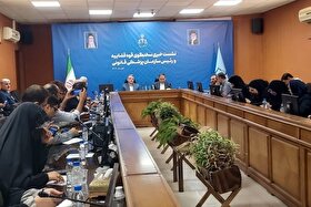 سخنگوی قوه قضائیه: ۱۱۵ محکوم امنیتی تاکنون مشمول عفو معیاری شده‌اند + فیلم