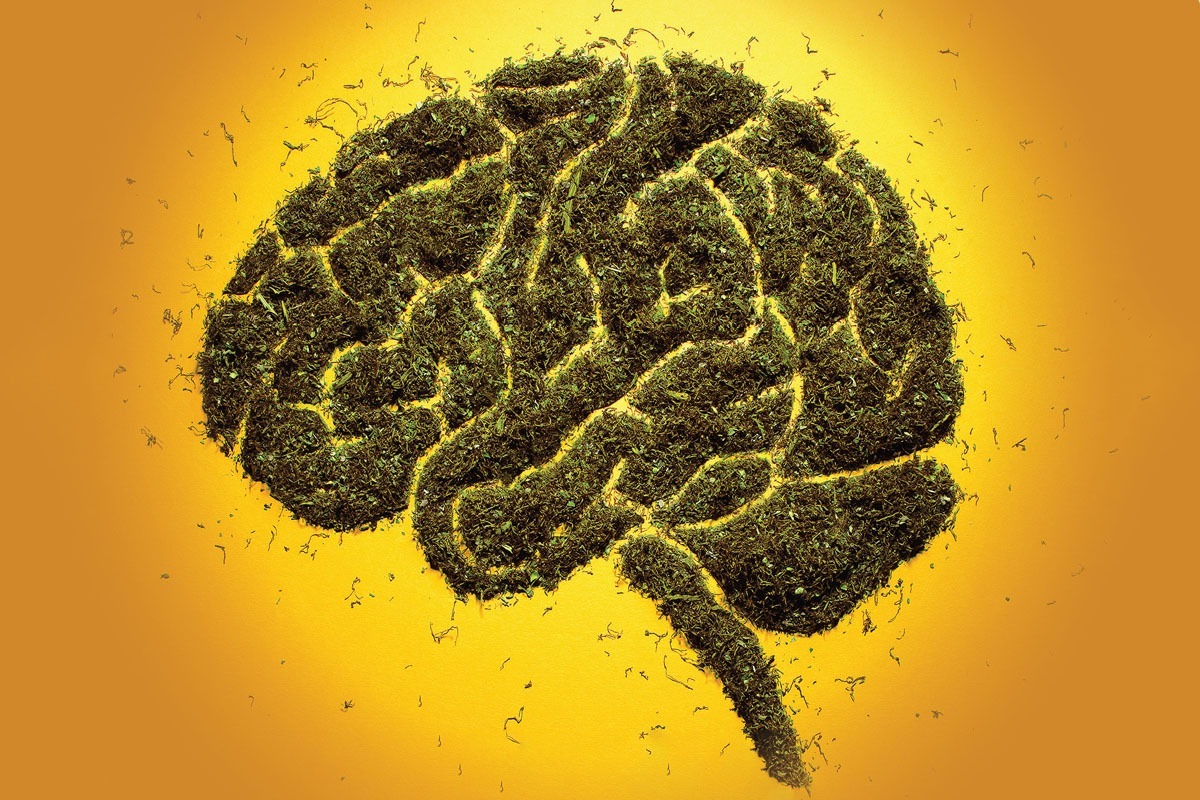 در سالهای اخیر مصرف «گل» یا همان ماری جوانا در میان نوجوانان به شکل نگران کنندهای افزایش یافته است.