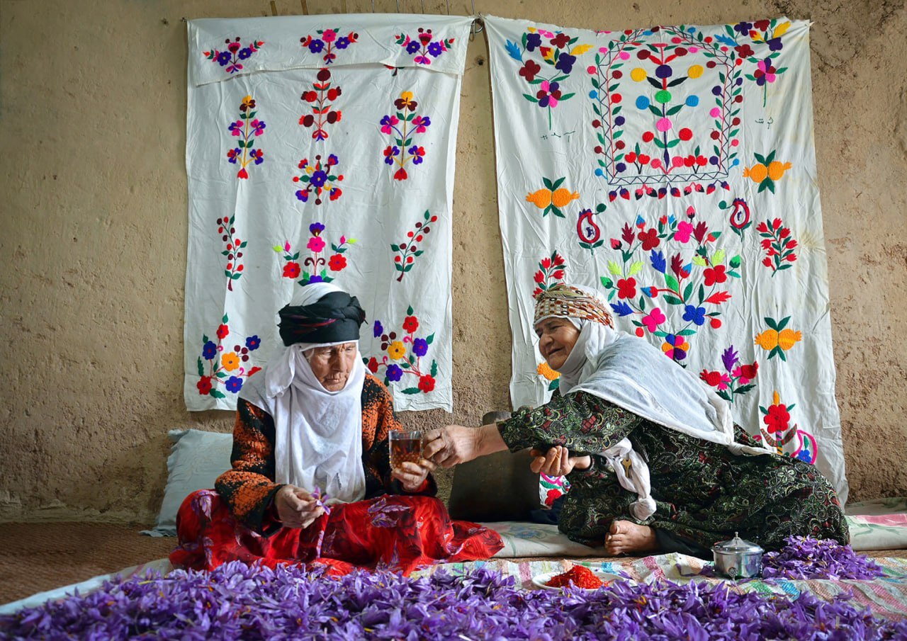برگزیدگان جشنواره ملی عکس زعفران معرفی شدند + تصاویر برگزیده برگزیدگان جشنواره ملی عکس زعفران معرفی شدند + تصاویر برگزیده