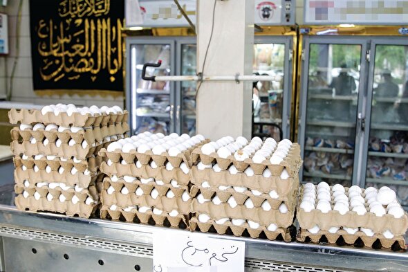 تخم مرغ سه رقمی در راه بازار | تولیدکنندگان هشدار می دهند که قیمت تخم‌مرغ از ۱۰۰ هزار تومان عبور می کند