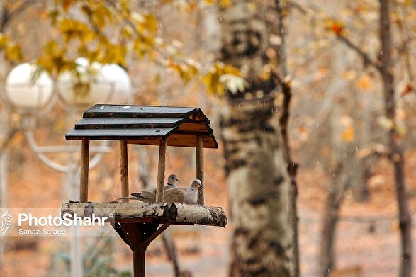پیش‌بینی هواشناسی کشور | شمال ایران سرمای پاییزی و جنوب کشور کاهش دما را تجربه می‌کند (شنبه، یکم آذر ۱۴۰۴)