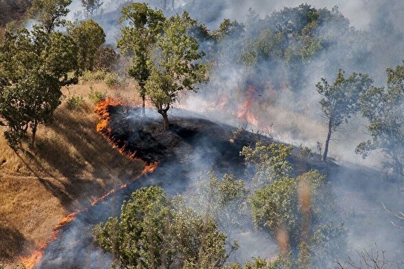 عملیات اطفای حریق در جنگل‌های چالوس همچنان ادامه دارد | انجام ۱۲ مأموریت اطفا تا امروز (شنبه، یکم آذر ۱۴۰۴)