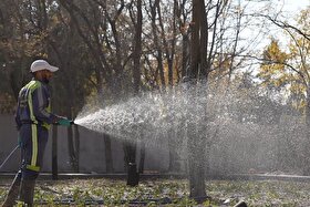 بوستان بانوان صبا (طرق) در آستانه افتتاح قرار گرفت