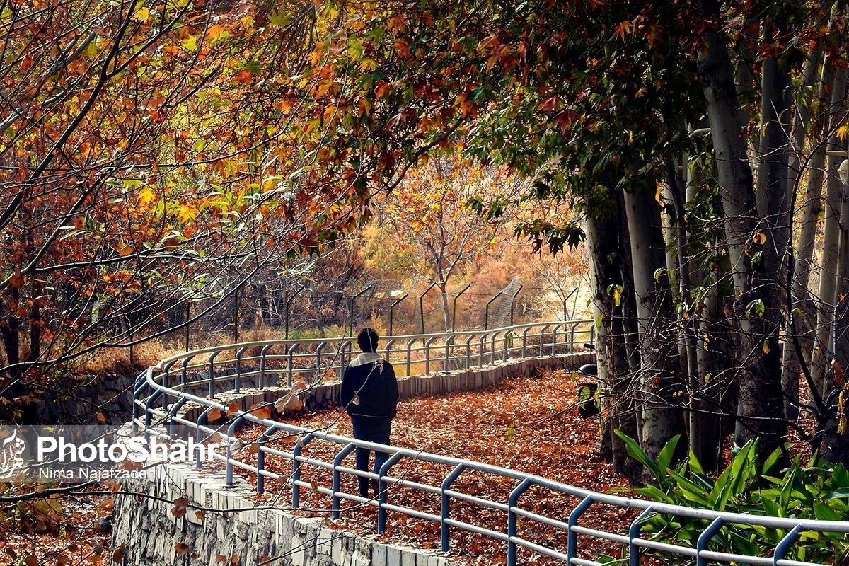 پیش‌بینی هواشناسی مشهد و خراسان رضوی امروز (شنبه، یکم آذر ۱۴۰۴) | همچنان باران نمی‌بارد!