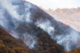 آتش‌سوزی در جنگل‌های ساری و نکا مهار شد (۱۰ آذر ۱۴۰۴)