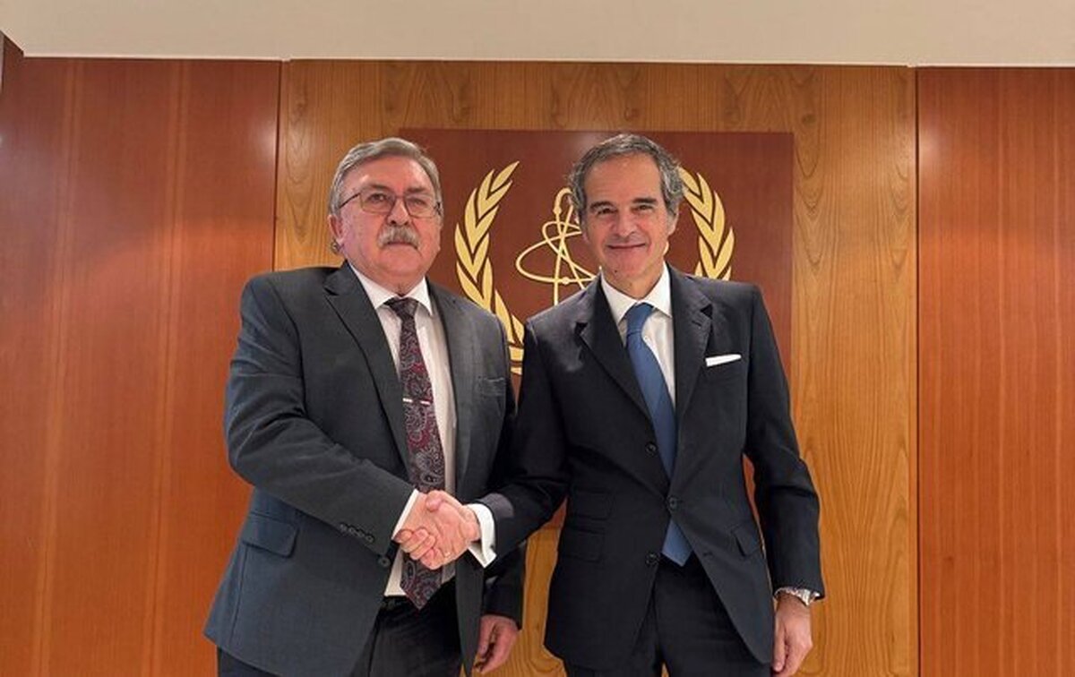 اولیانوف با گروسی درباره برنامه هسته‌ای ایران رایزنی کرد