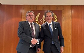 اولیانوف با گروسی درباره برنامه هسته‌ای ایران رایزنی کرد