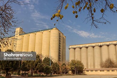 گزارش تصویری | سیلوی گندم مشهد