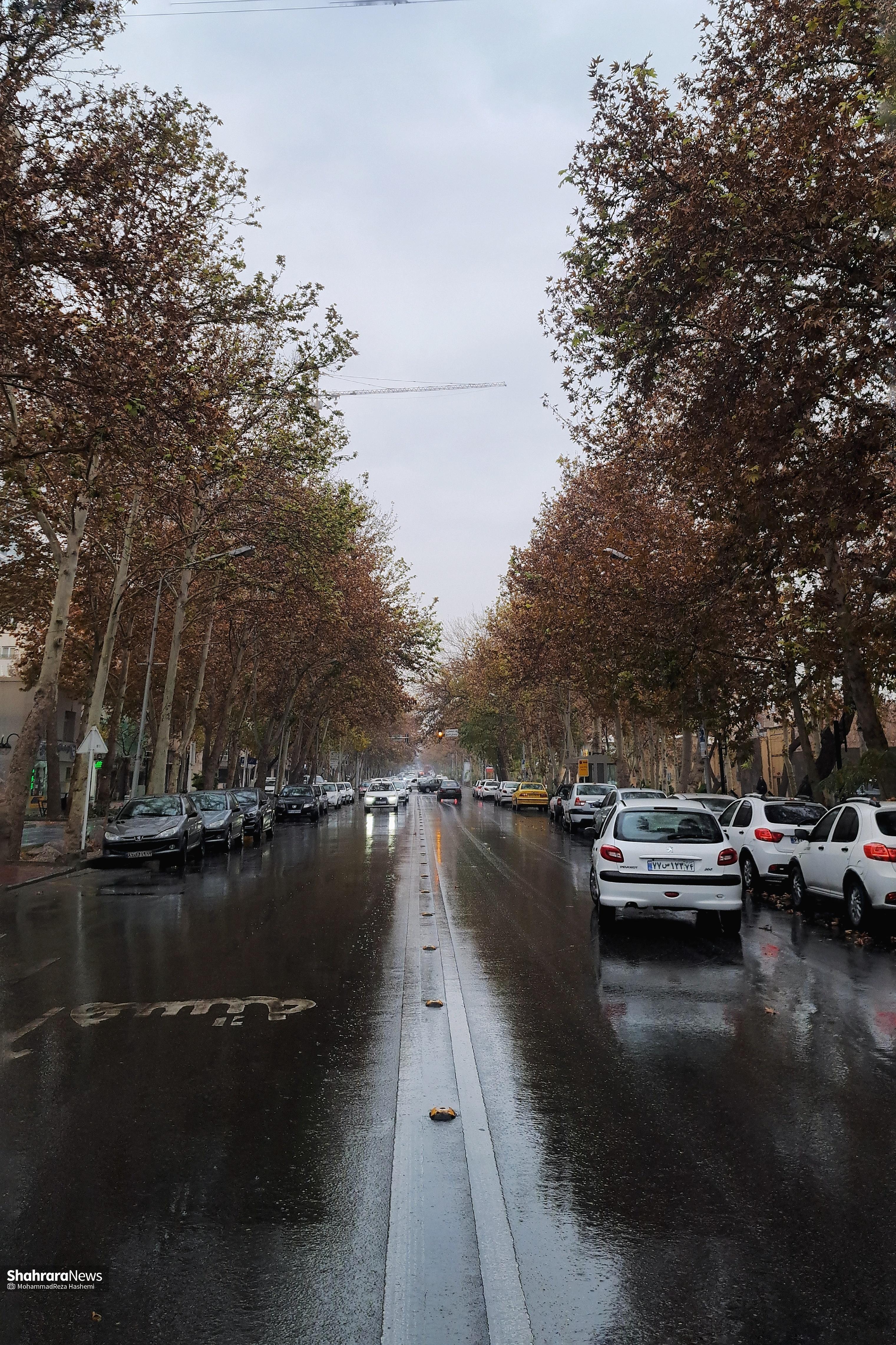بارش باران در مشهد + عکس و فیلم (چهارشنبه - ۱۲ آذر ۱۴۰۴)