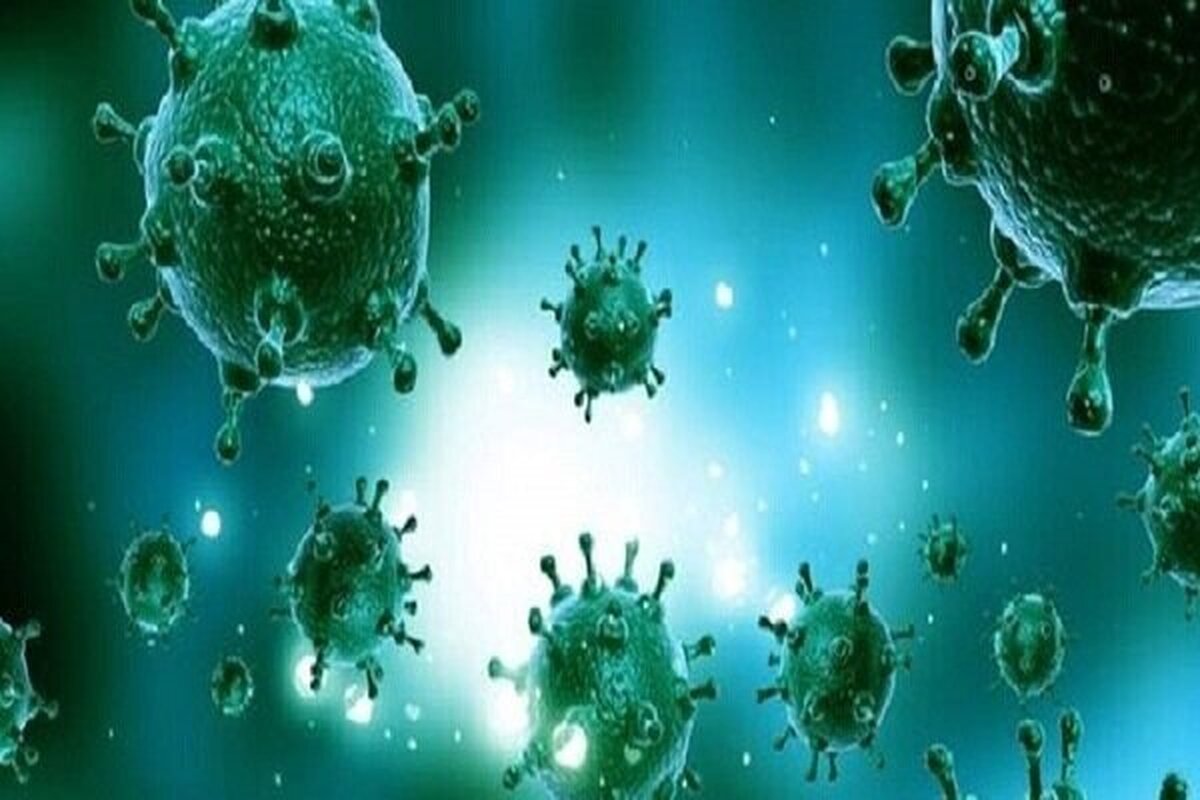 ثبت اولین مرگ ناشی از آنفلوانزای H۳N۲ در هرمزگان