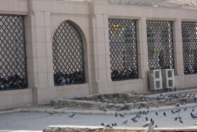 راز ماندگاری نام و یاد حضرت ام‌البنین (س) در قلب شیعیان چیست؟