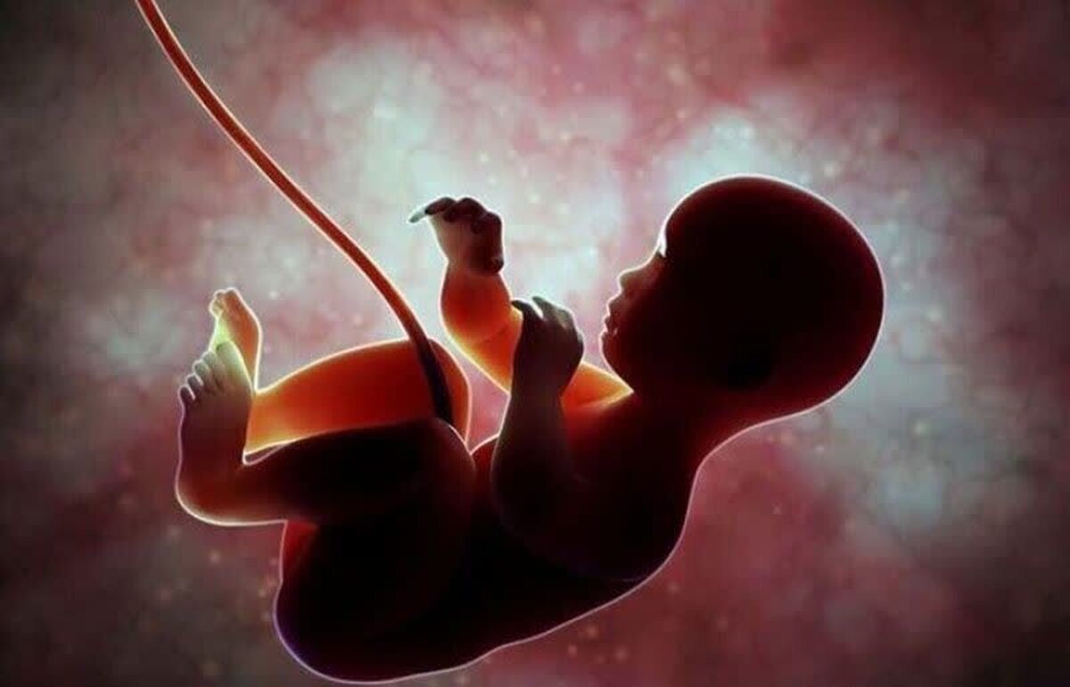 از عواقب جبران‌ناپذیر سقط‌های غیرقانونی چه می‌دانید؟