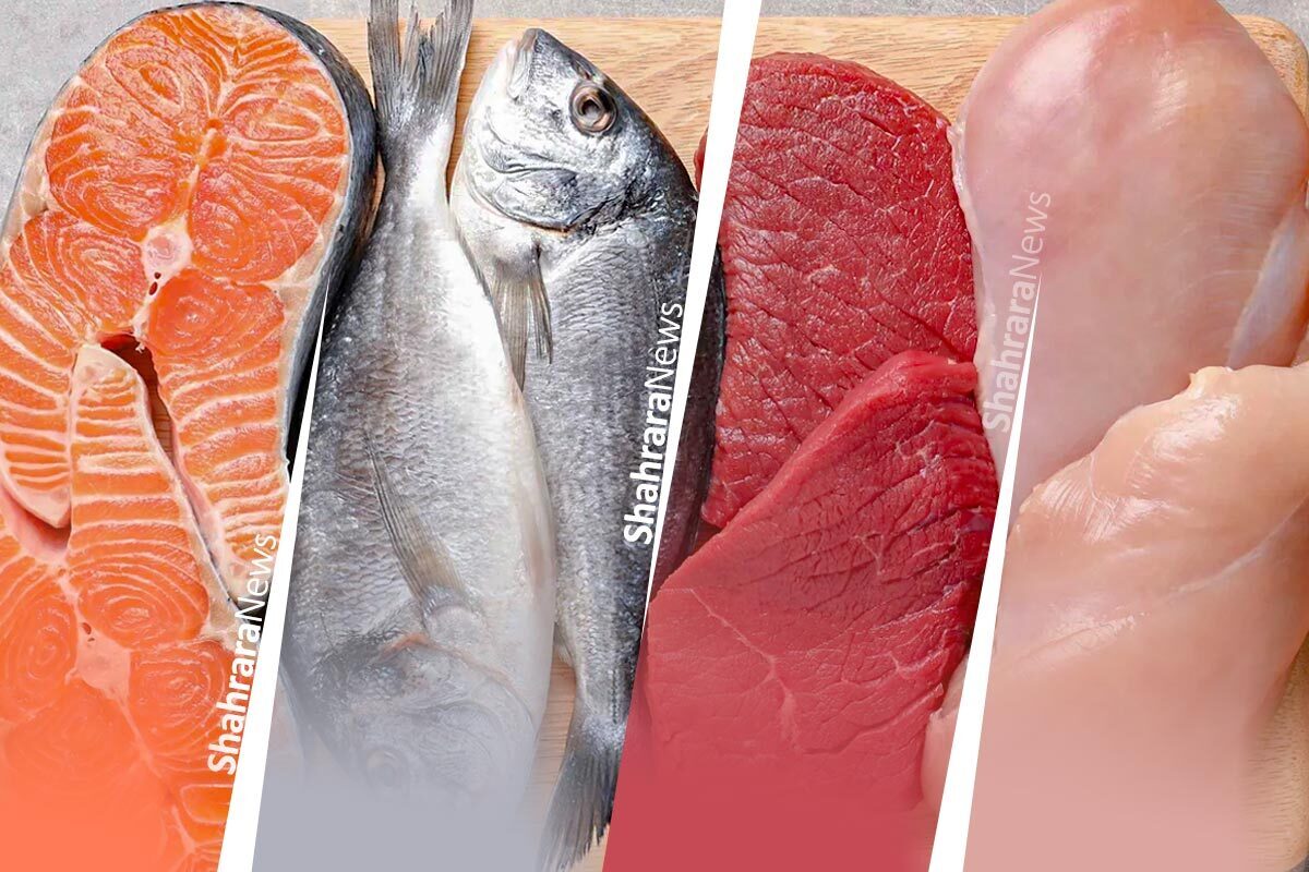 قیمت گوشت، مرغ و ماهی آخر هفته در مشهد چقدر است؟ (۱۳ آذر ۱۴۰۴)