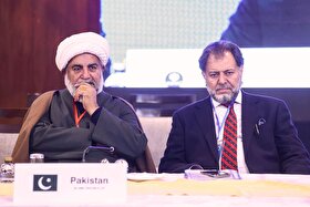 رئیس هیأت پارلمانی پاکستان: منازعات مرزی و تأمین امنیت با همکاری‌های پارلمانی محقق می‌گردد