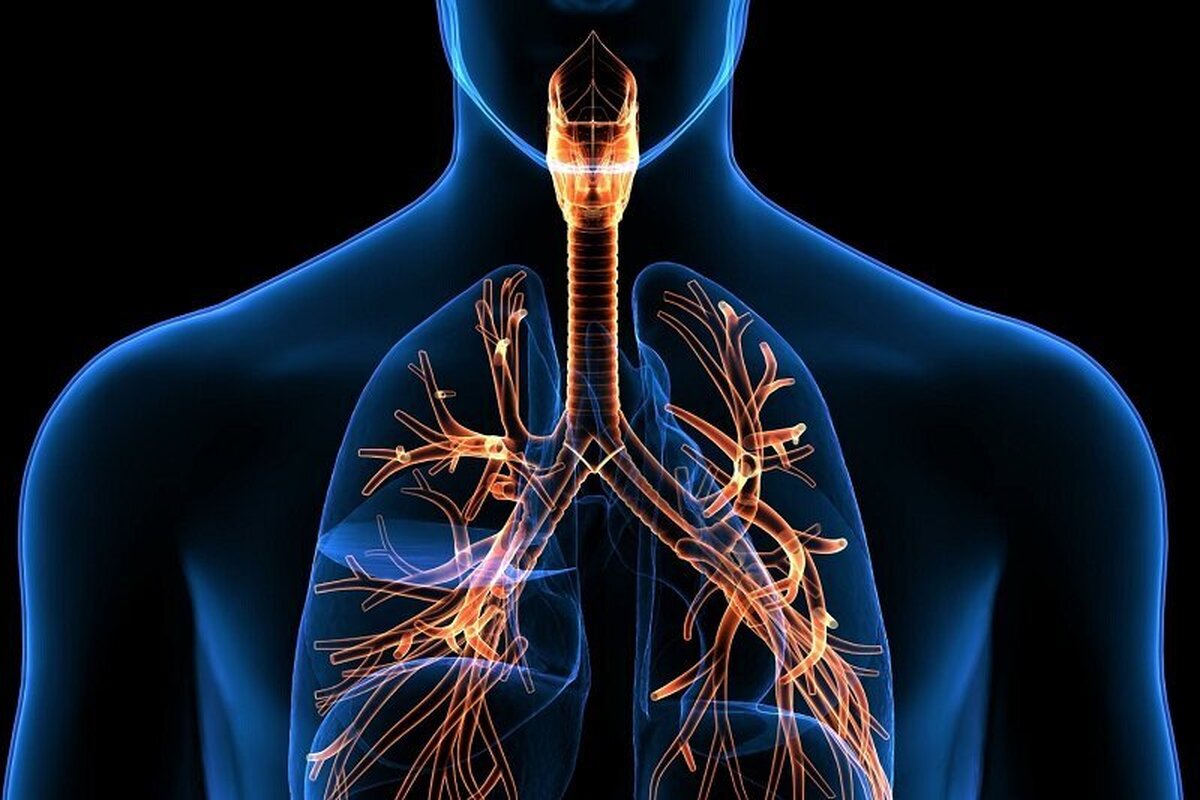 آلودگی هوا عملکرد ریه را کاهش می‌دهد