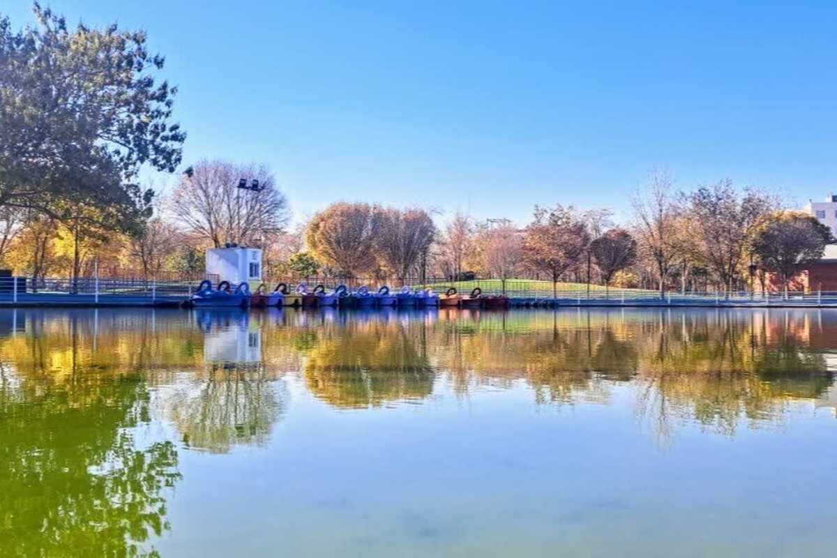 شهروند خبرنگار | نمایی زیبا و پاییزی از بوستان ارم در محله پنجتن مشهد